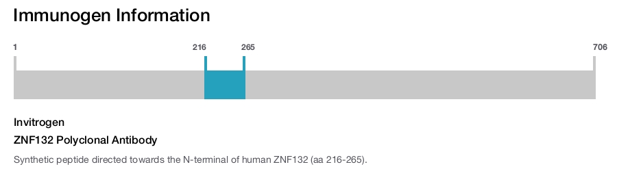 ZNF132 Polyclonal Antibody