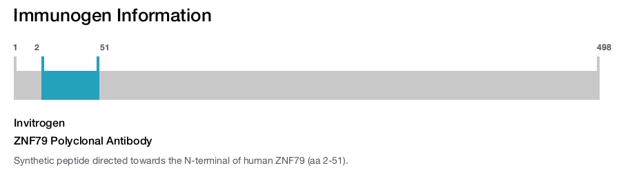ZNF79 Polyclonal Antibody