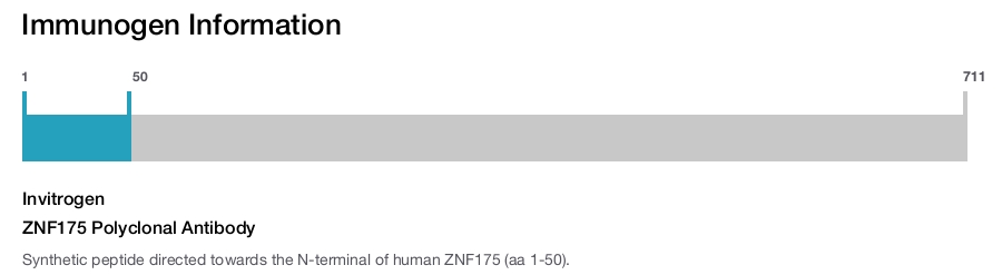 ZNF175 Polyclonal Antibody