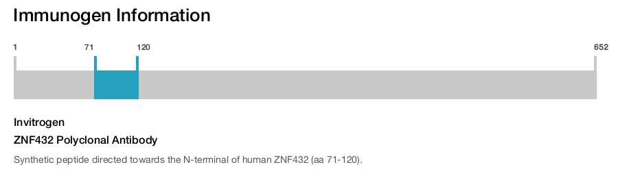 ZNF432 Polyclonal Antibody