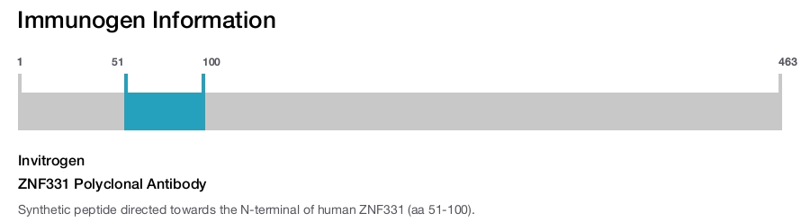 ZNF331 Polyclonal Antibody