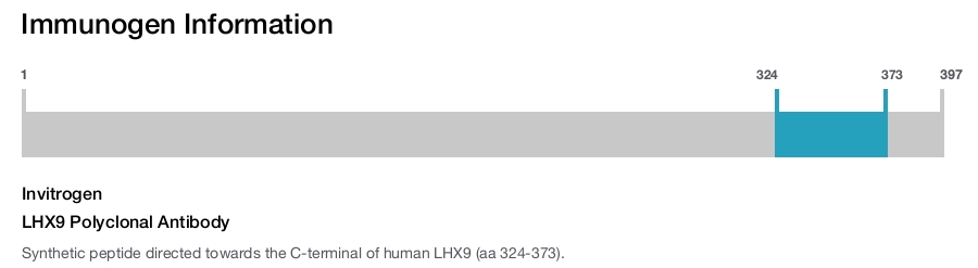 LHX9 Polyclonal Antibody