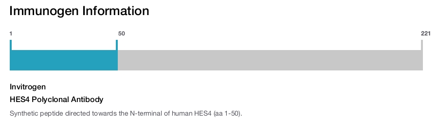 HES4 Polyclonal Antibody