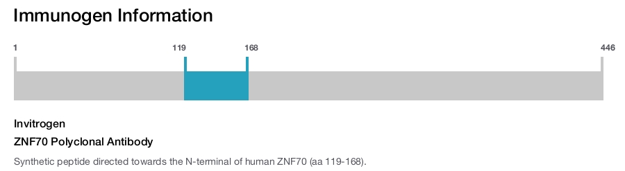 ZNF70 Polyclonal Antibody