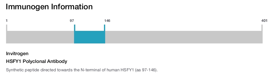 HSFY1 Polyclonal Antibody