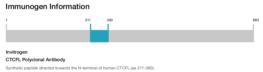 CTCFL Polyclonal Antibody