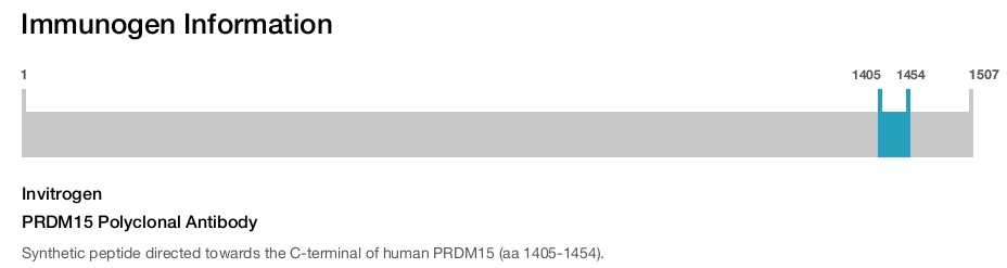 PRDM15 Polyclonal Antibody