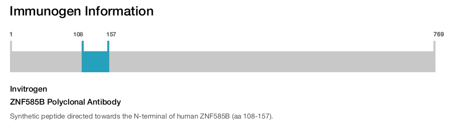 ZNF585B Polyclonal Antibody