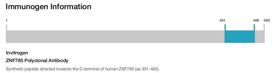 ZNF785 Polyclonal Antibody
