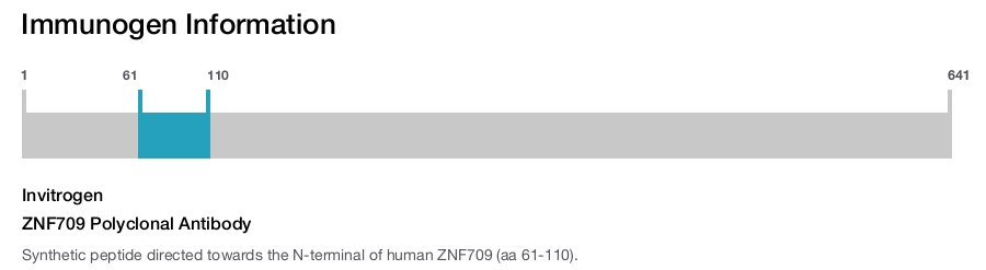 ZNF709 Polyclonal Antibody