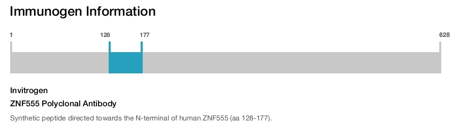 ZNF555 Polyclonal Antibody