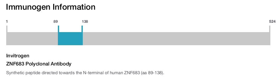 ZNF683 Polyclonal Antibody