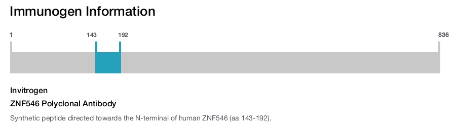 ZNF546 Polyclonal Antibody