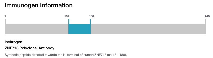 ZNF713 Polyclonal Antibody
