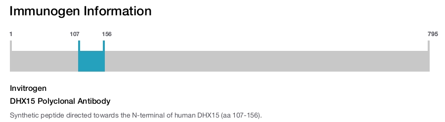 DHX15 Polyclonal Antibody