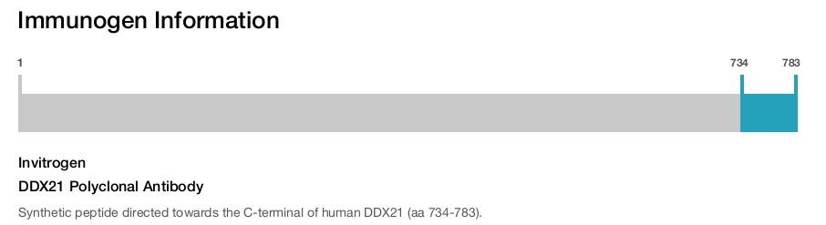 DDX21 Polyclonal Antibody