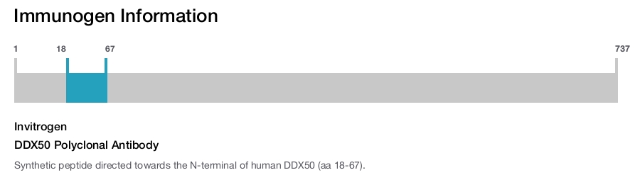 DDX50 Polyclonal Antibody