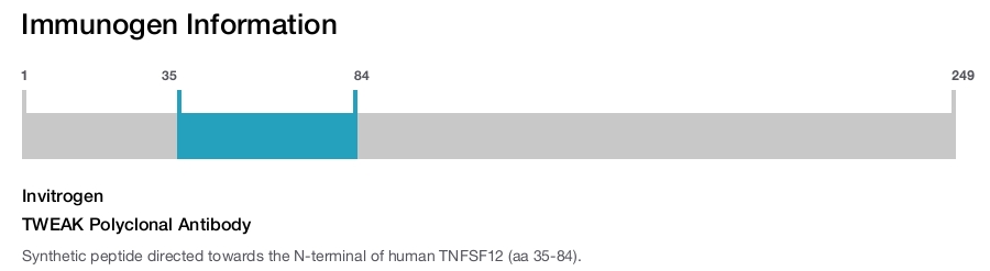TWEAK Polyclonal Antibody