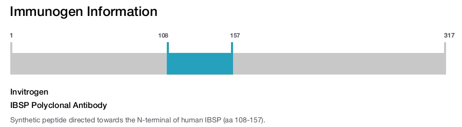 IBSP Polyclonal Antibody