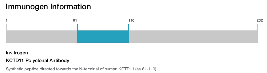 KCTD11 Polyclonal Antibody