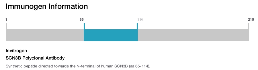SCN3B Polyclonal Antibody