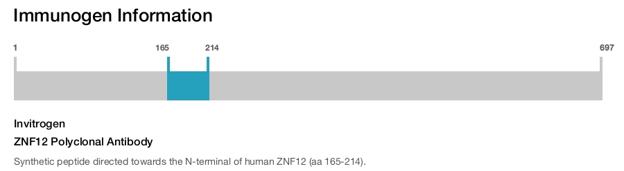 ZNF12 Polyclonal Antibody