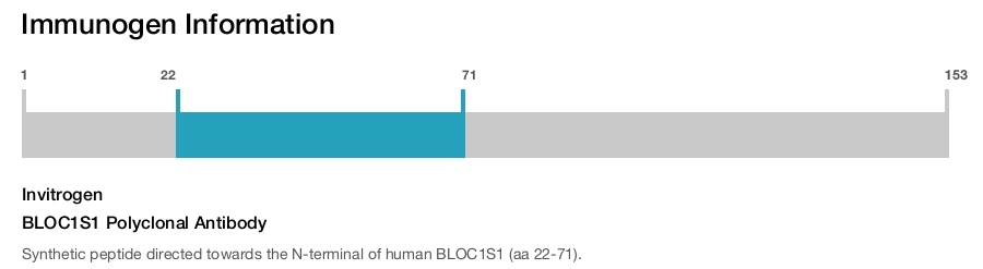 BLOC1S1 Polyclonal Antibody