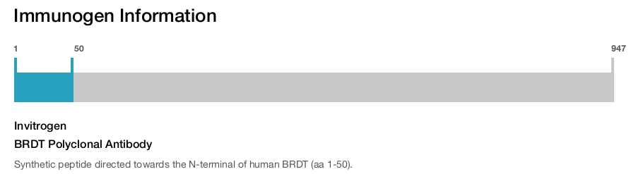 BRDT Polyclonal Antibody