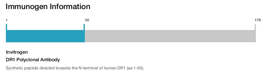 DR1 Polyclonal Antibody