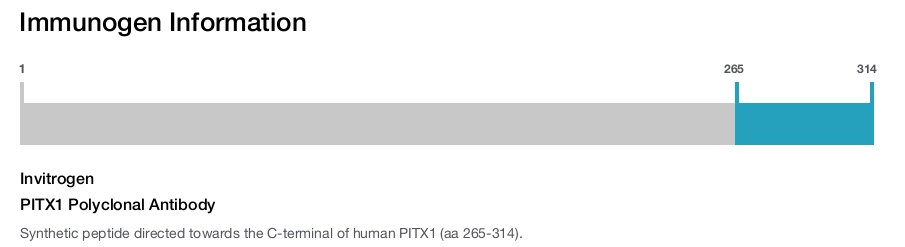 PITX1 Polyclonal Antibody