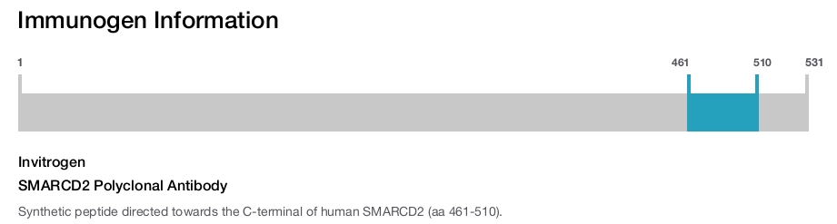 SMARCD2 Polyclonal Antibody