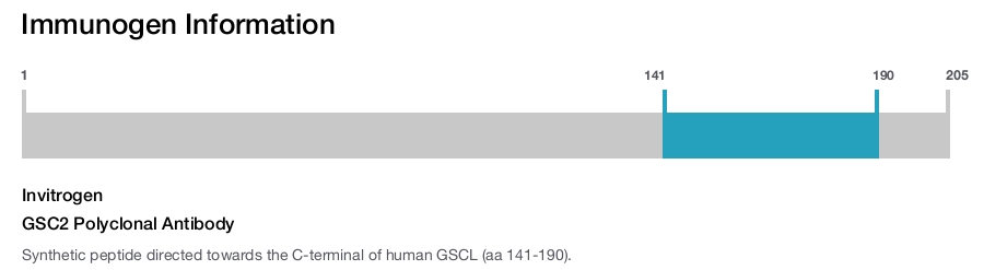 GSC2 Polyclonal Antibody
