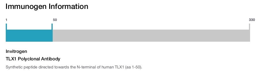 TLX1 Polyclonal Antibody