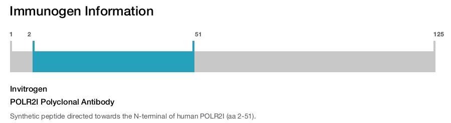POLR2I Polyclonal Antibody