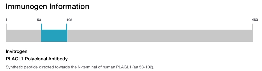 PLAGL1 Polyclonal Antibody