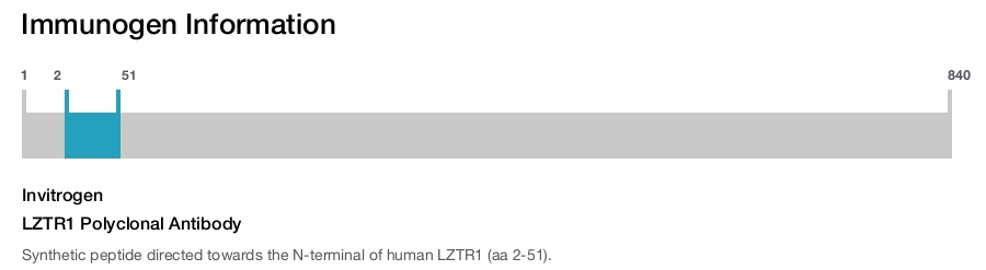 LZTR1 Polyclonal Antibody