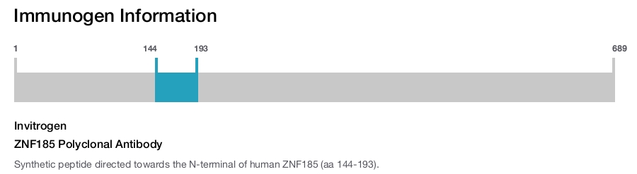 ZNF185 Polyclonal Antibody
