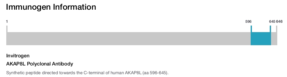 AKAP8L Polyclonal Antibody