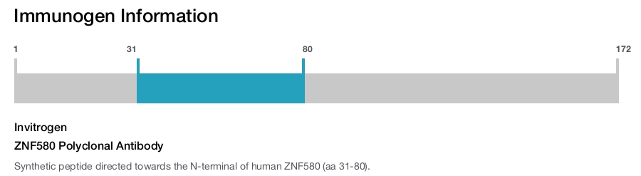 ZNF580 Polyclonal Antibody