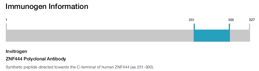 ZNF444 Polyclonal Antibody