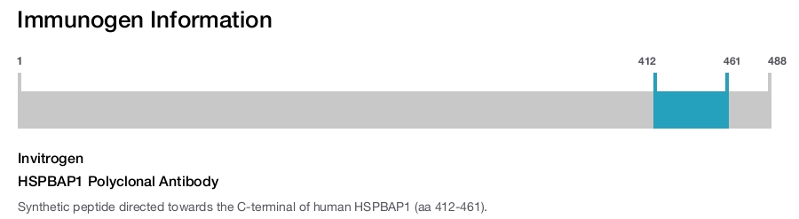 HSPBAP1 Polyclonal Antibody
