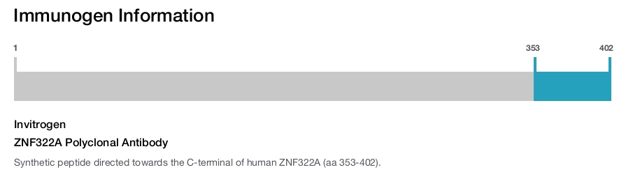 ZNF322A Polyclonal Antibody