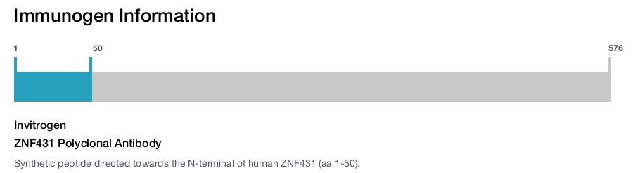 ZNF431 Polyclonal Antibody