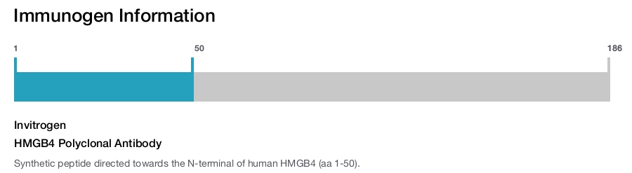 HMGB4 Polyclonal Antibody