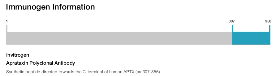 Aprataxin Polyclonal Antibody