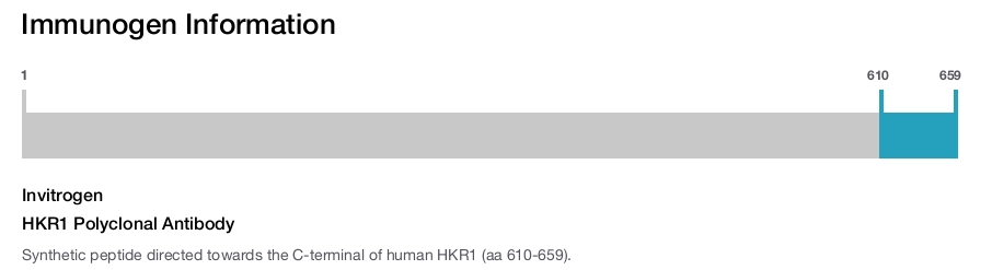 HKR1 Polyclonal Antibody