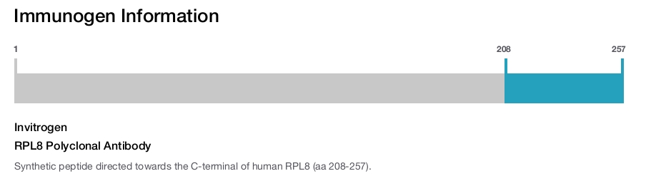 RPL8 Polyclonal Antibody