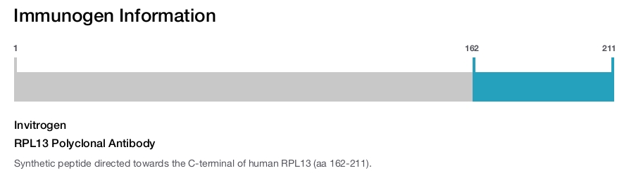 RPL13 Polyclonal Antibody