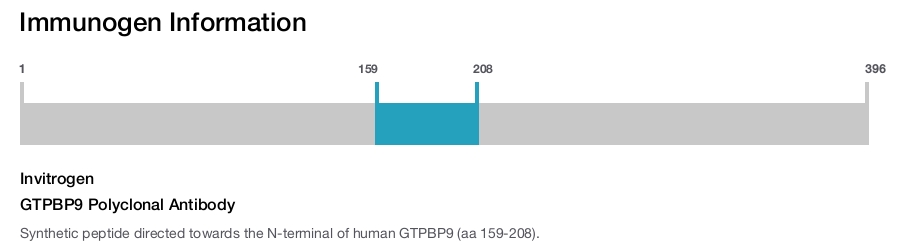 GTPBP9 Polyclonal Antibody