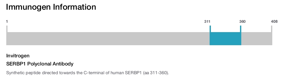 SERBP1 Polyclonal Antibody